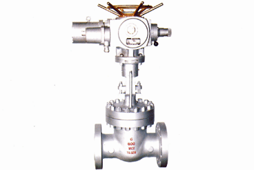 Pound grade electric gate valve